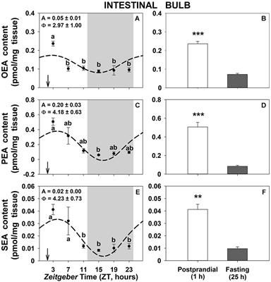 Diurnal Profiles of N-Acylethanolamines in Goldfish Brain and Gastrointestinal Tract: Possible Role of Feeding